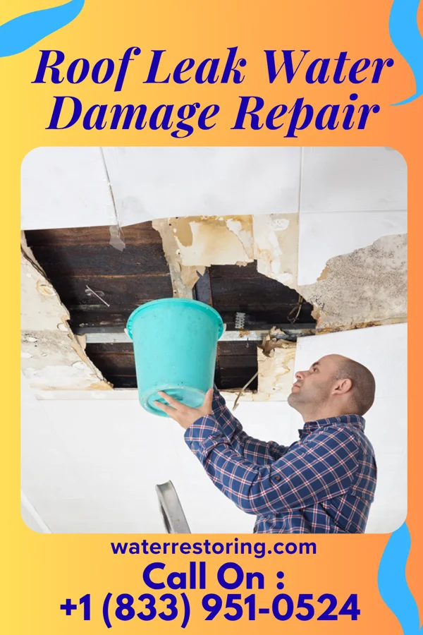 Roof Leak Water Damage Repair in Woodridge, NY