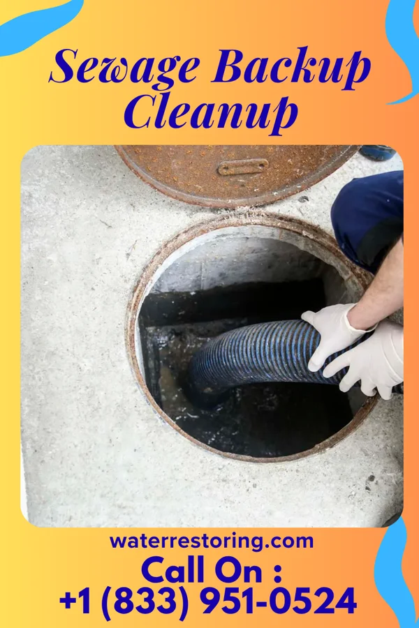 Sewage Backup Cleanup in Woodridge, NY