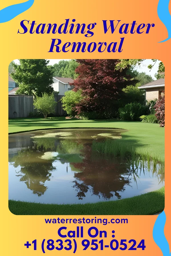 Standing Water Removal in Woodridge, NY